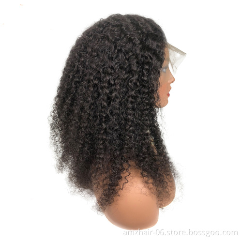 Factory Hot Sale 13x4 inch Lace Front Wig Natural color 100% Human Hair Kinky Curly Wig Pre Plucked Baby Hair for black women